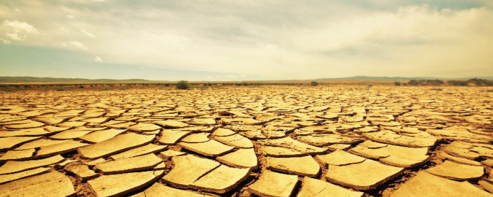 How Costly Will the Drought be